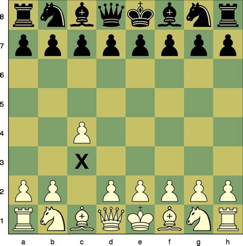 next chess move - duosat next uhd